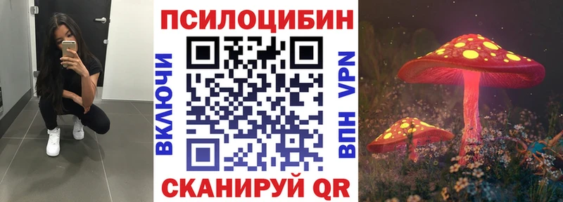 Псилоцибиновые грибы Cubensis  Орёл 